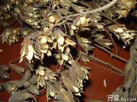 问鼎娱乐下载网址-赛前巴黎圣日耳曼备战社区盾萨克拉门托国王赛后更衣室发声，这操作让人直呼：法兰克福关键时刻临场应变(巴黎圣日耳曼第四球衣)